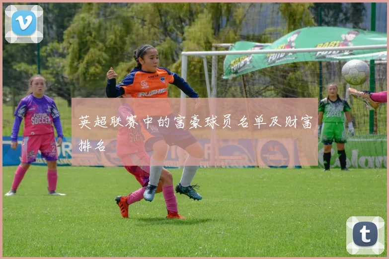 英超联赛中的富豪球员名单及财富排名