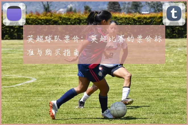 英超球队票价：英超比赛的票价标准与购买指南
