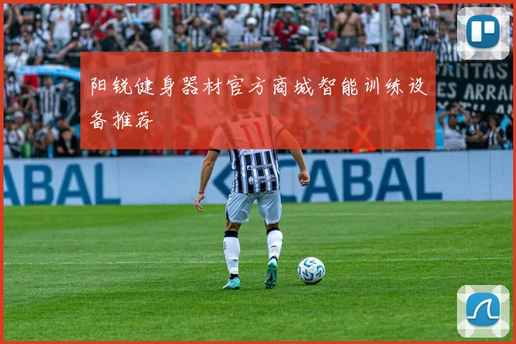 阳锐健身器材官方商城智能训练设备推荐