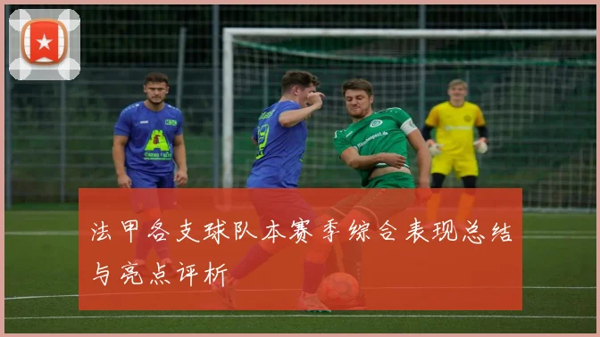 法甲各支球队本赛季综合表现总结与亮点评析